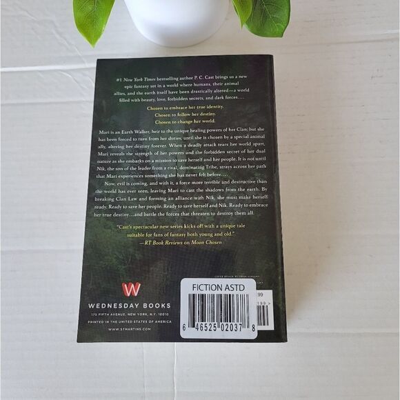 Moon chosen book  - Picture 6 of 6